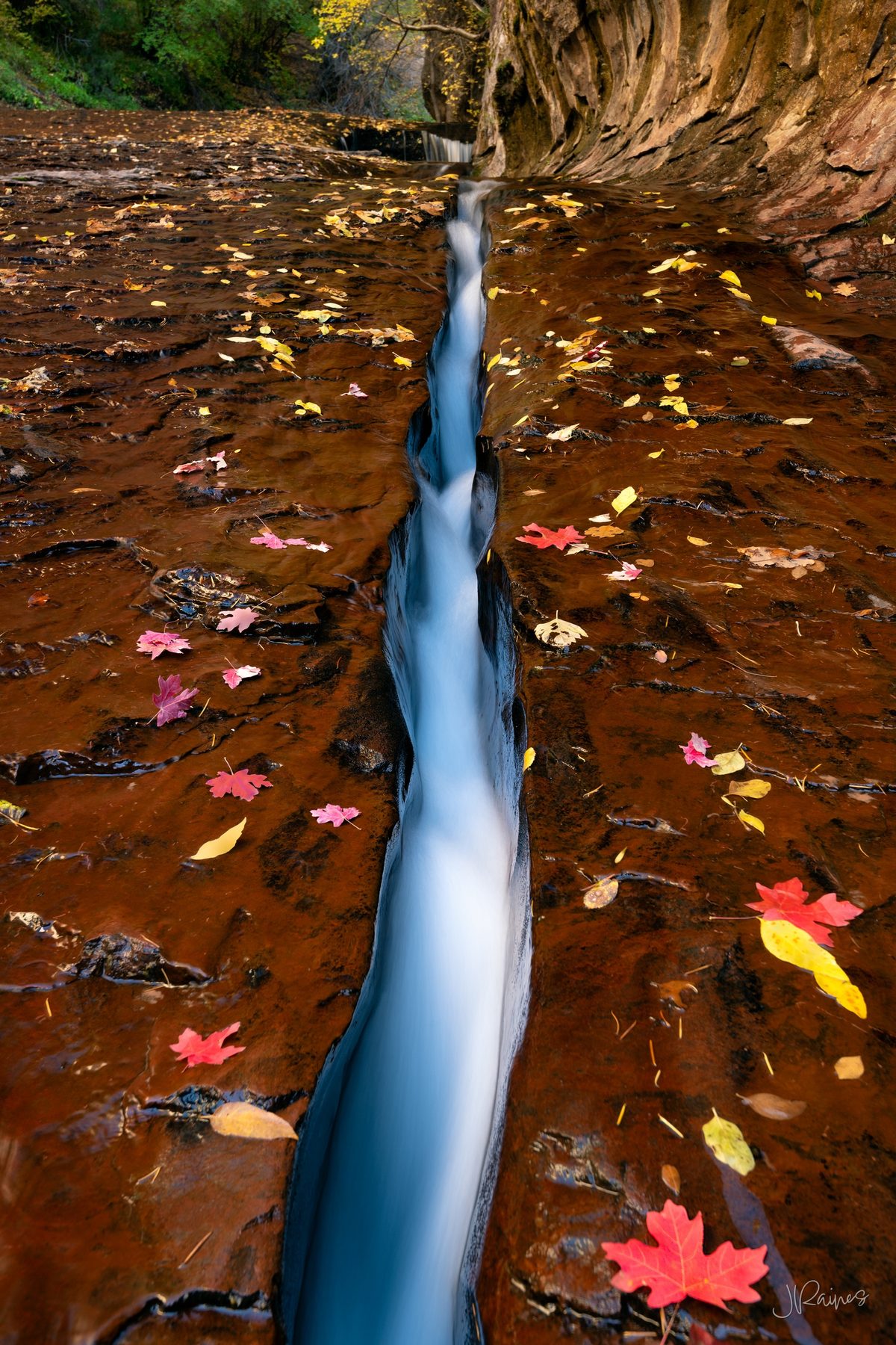 Water running in a crack of stone in Zion National Park in autumn