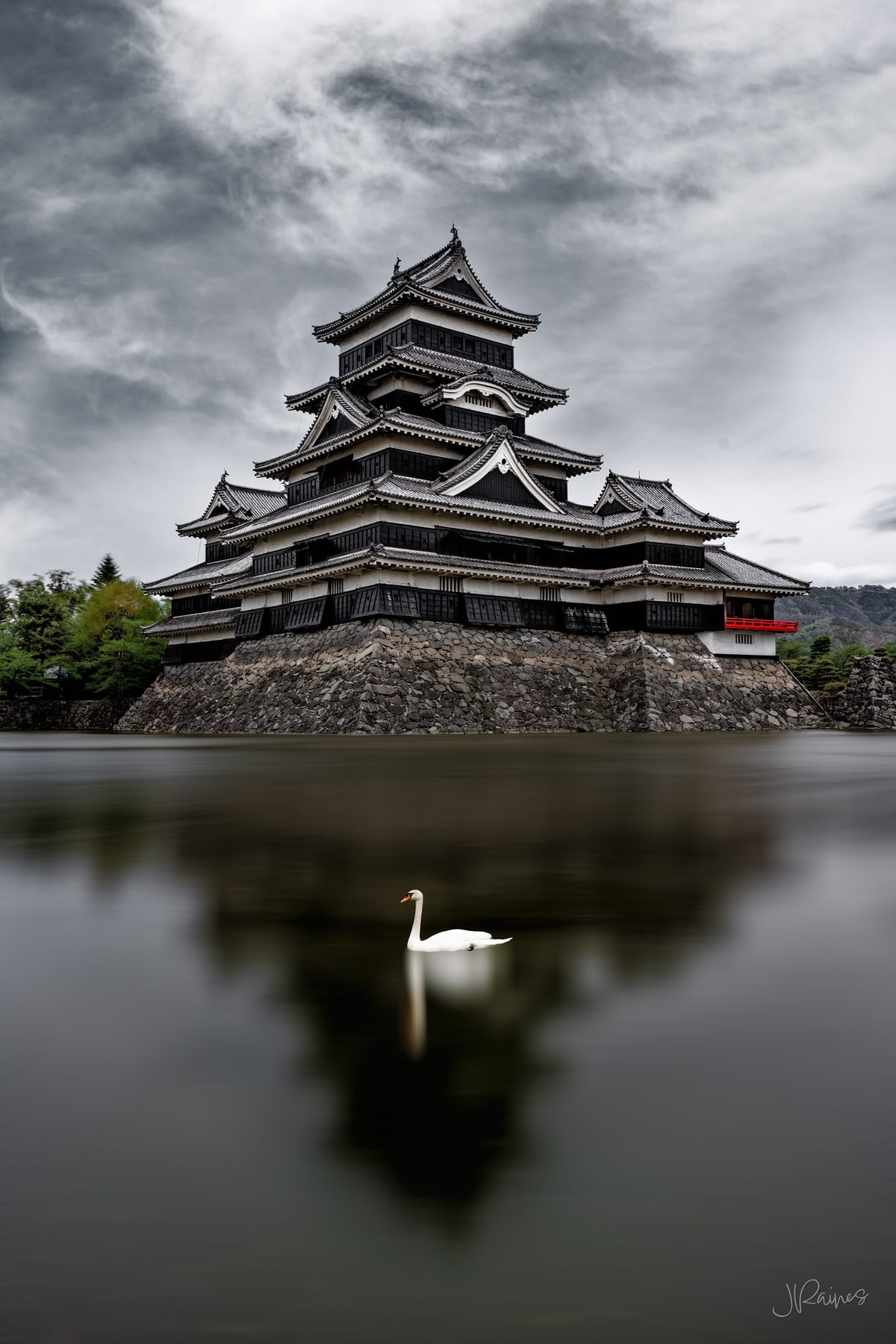 Matsumoto castle with swan in the foreground