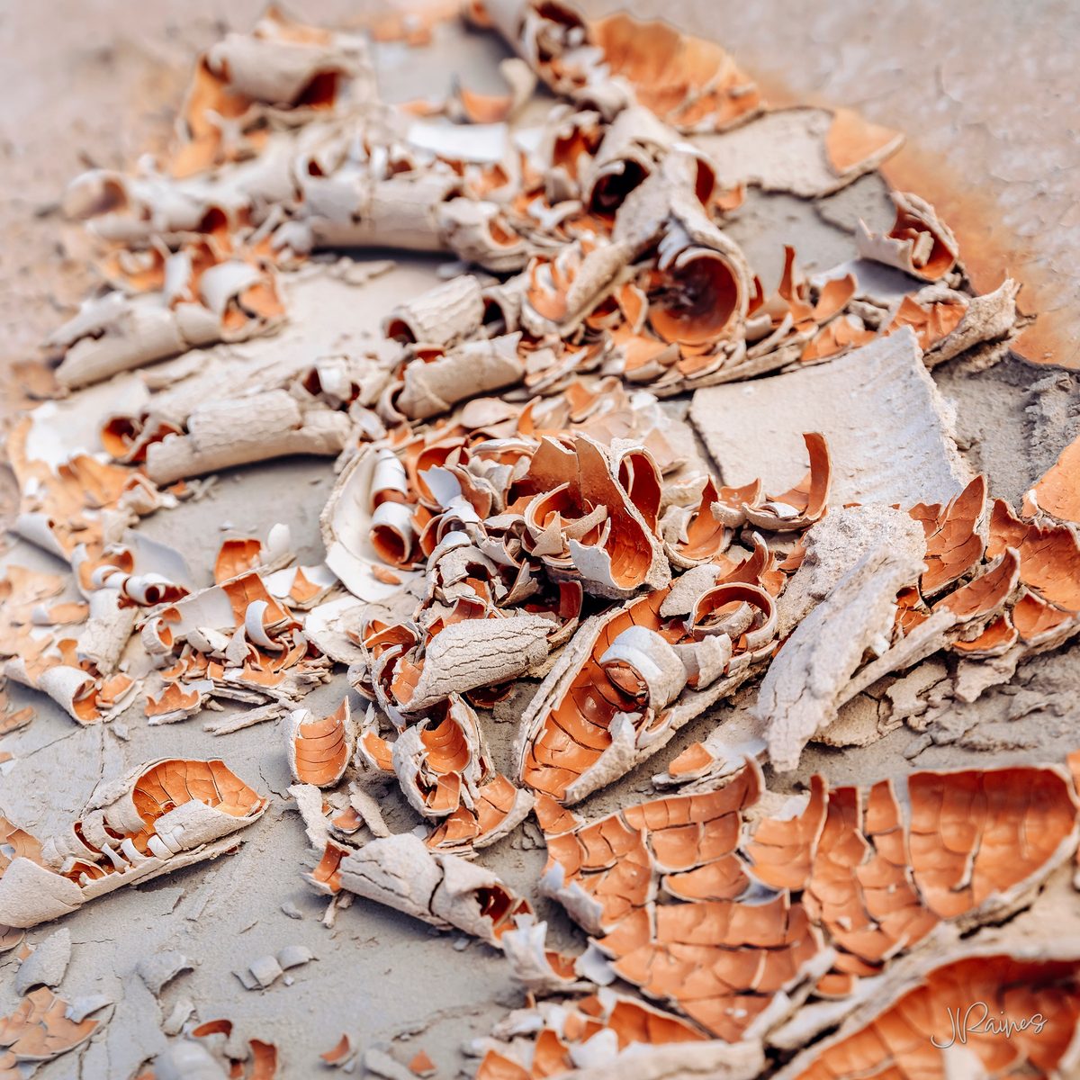 Curled shards of dried clay at Cathedral Gorge State Park, Nevada, peeling up off the ground as the mud shrinks