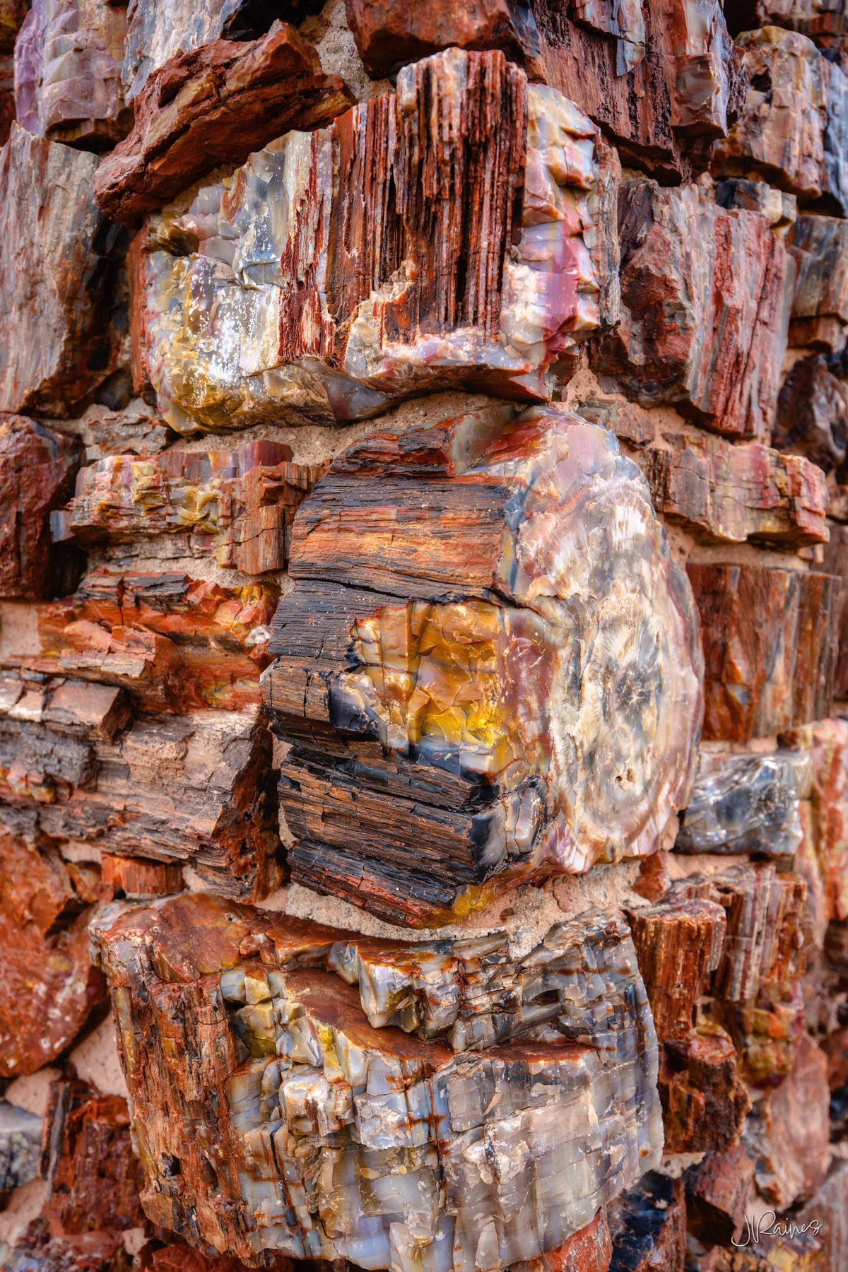 Petrified wood blocks set in mortar in the wall of Agate House, Petrified Forest National Park, Arizona