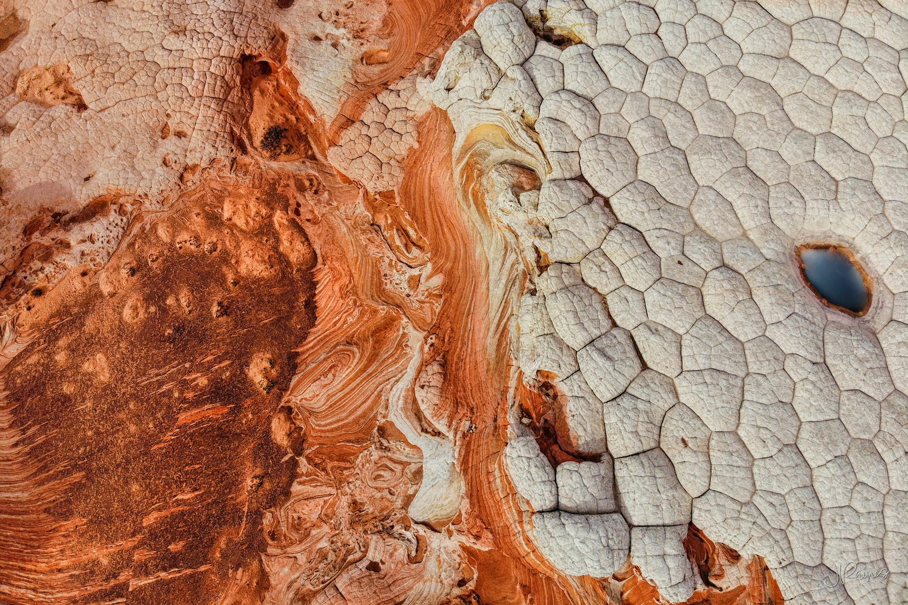 Swirled and cracked sandstone at Vermilion Cliffs, Arizona, where a run of orange rock meets a field of white brain-rock texture