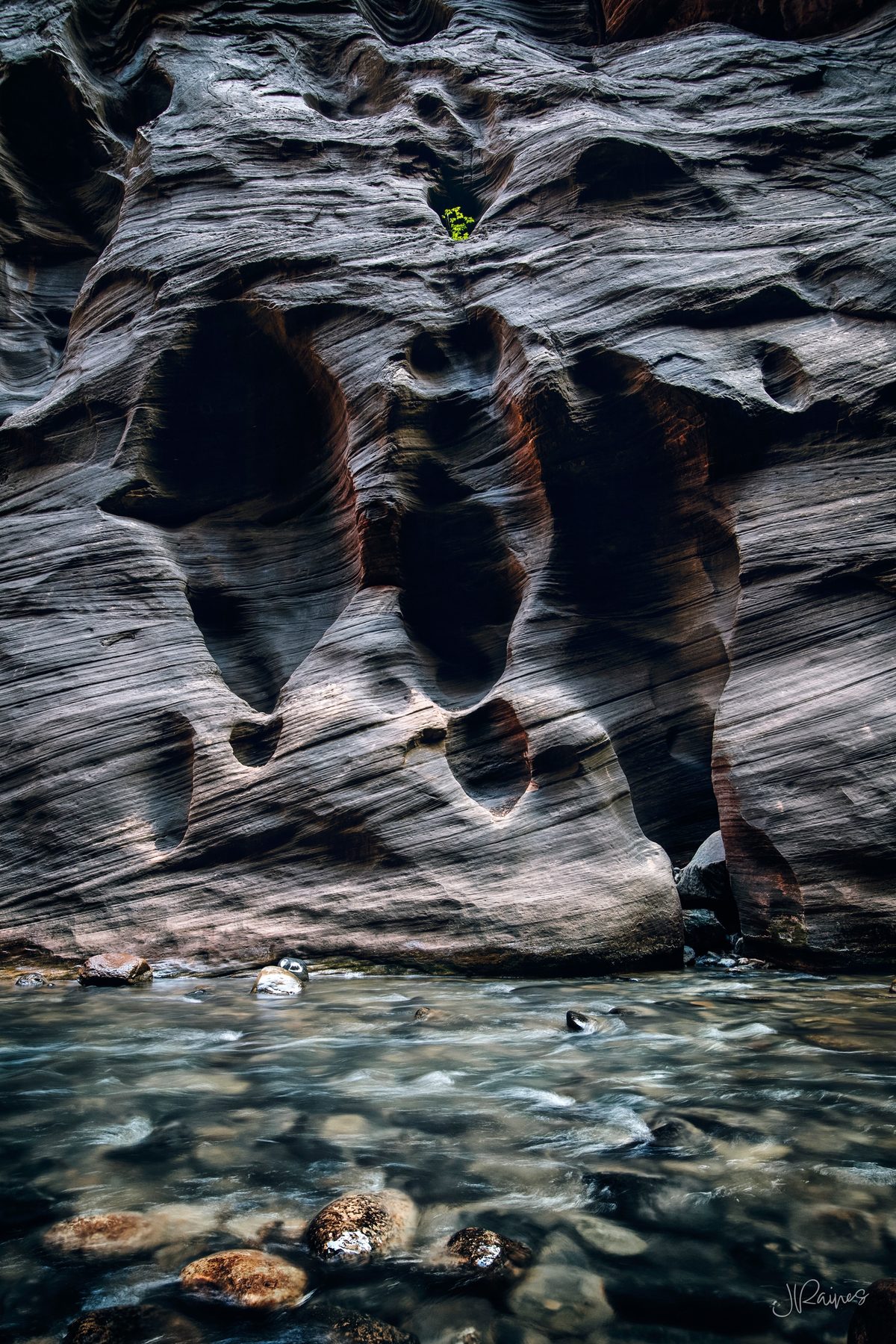 The Narrows Virgin River in Zion National Park