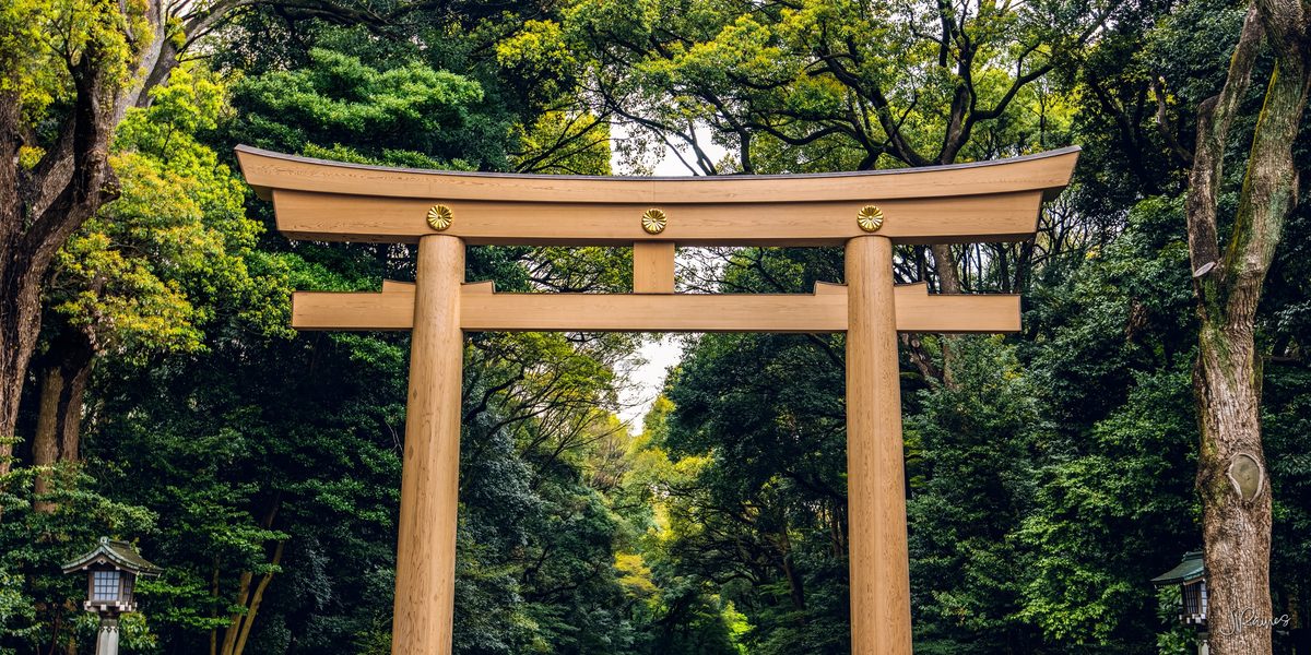 Torii gate entrance to Meiji Jingu in Tokyo Japan
