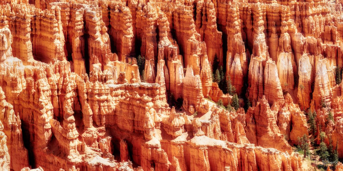 Detail of the hoodoos of Bryce Canyon National Park