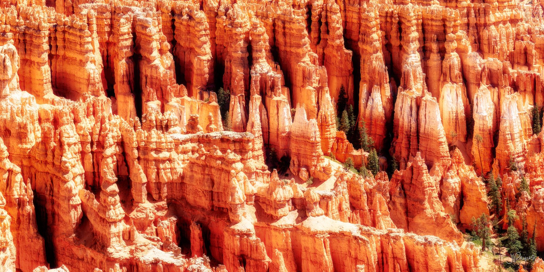 Detail of the hoodoos of Bryce Canyon National Park