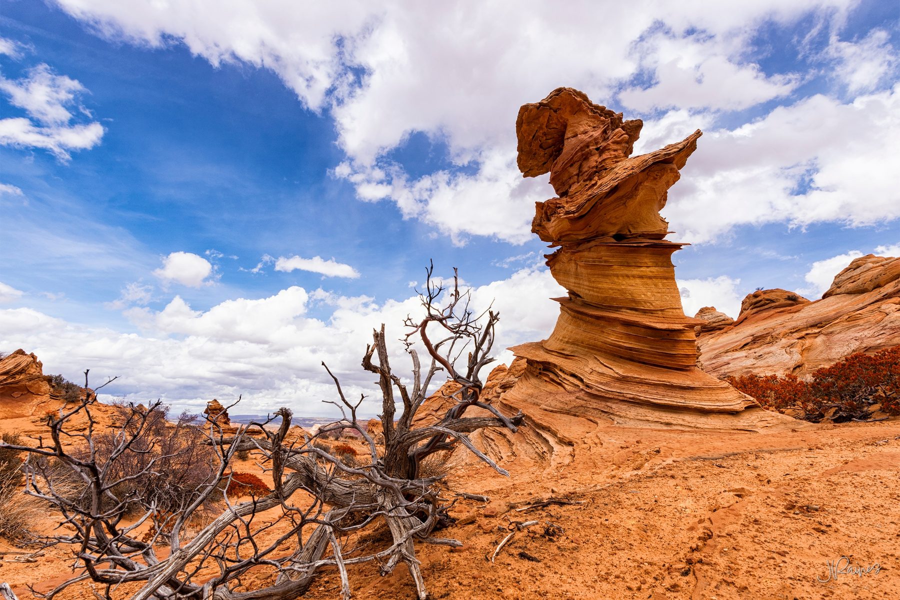 A balanced hoodoo at Vermilion Cliffs, Arizona, with the bleached skeleton of a juniper in the foreground