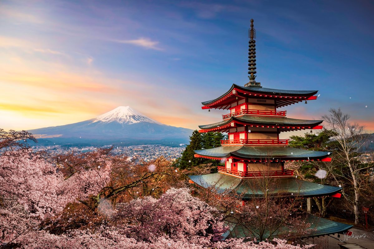 Pagoda with cherry trees and Mt. Fuji in the distance at sunrise, Fujiyoshida, Japan