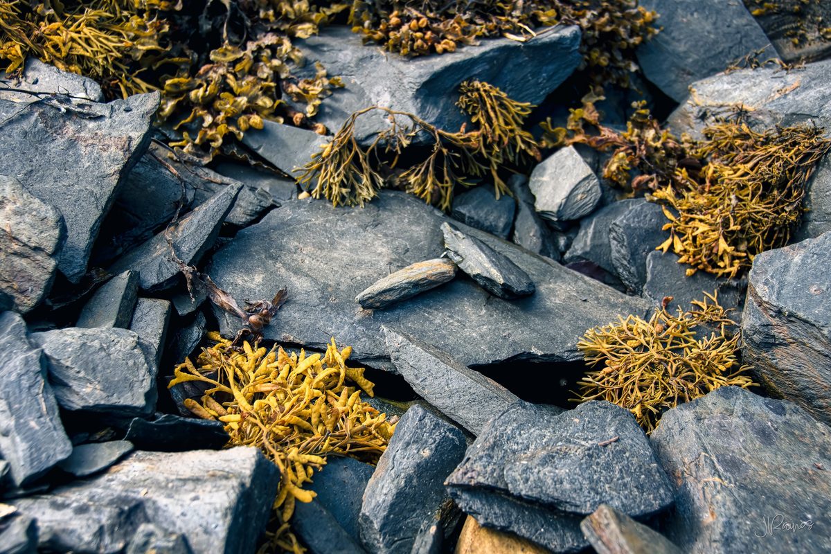Slate beach near Ballachulish Scotland