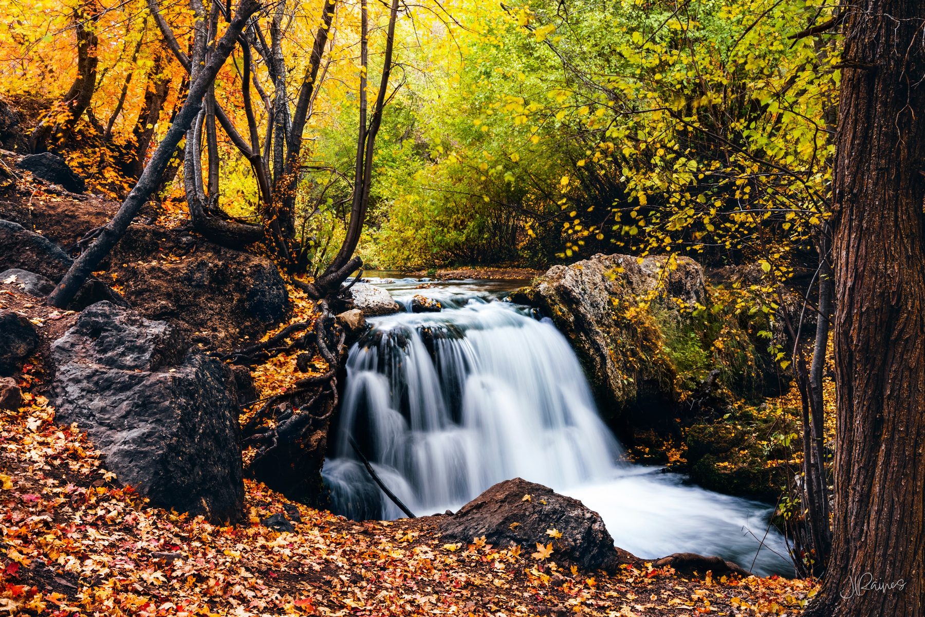 Woodland waterfall with bolders and autumn leaves, Logan, Utah