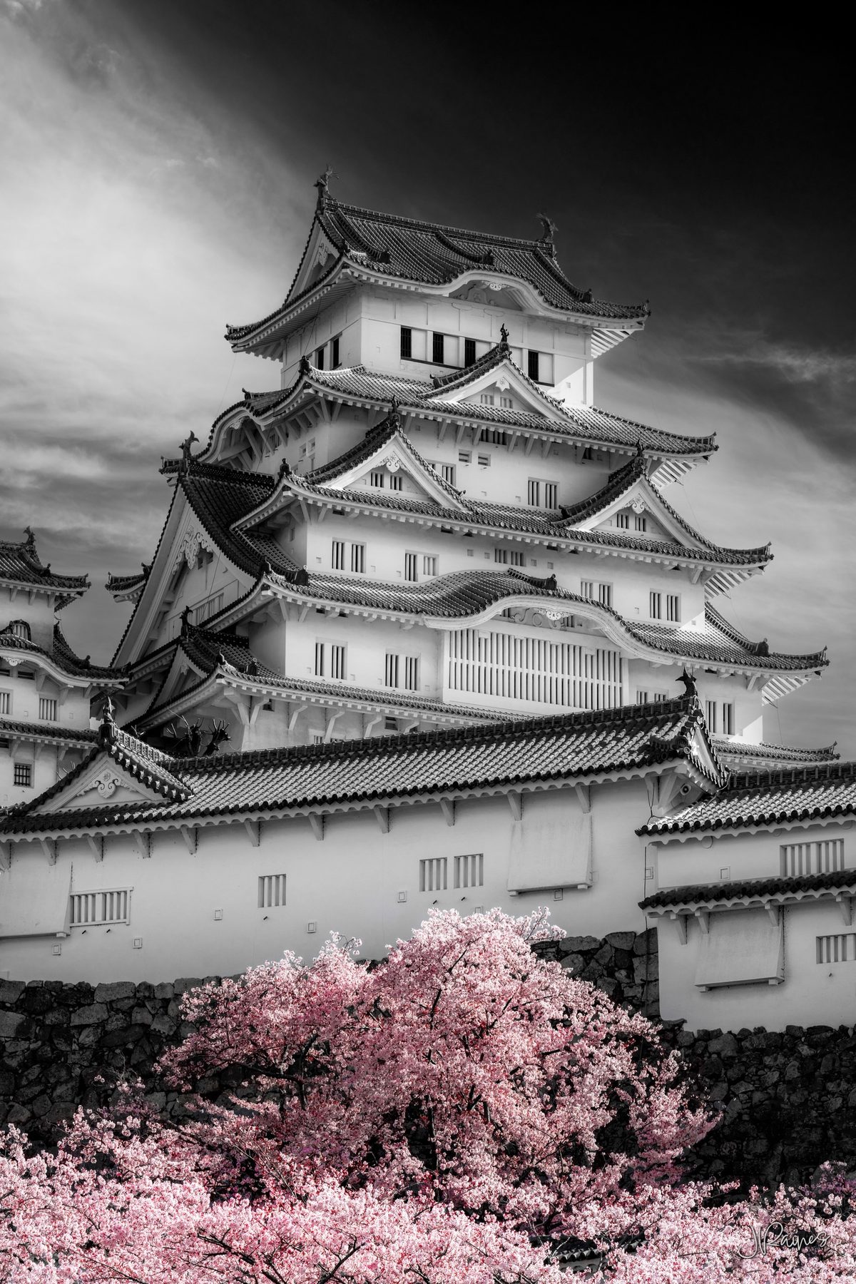 Detail of Himeji Castle with cherry trees in bloom in the foreground