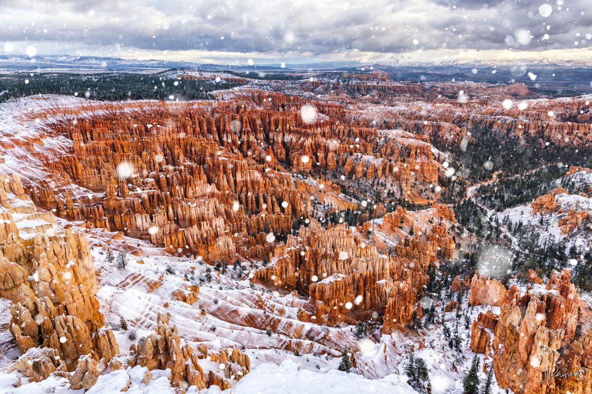 Snowing in the ampitheater of Bryce Canyon National Park