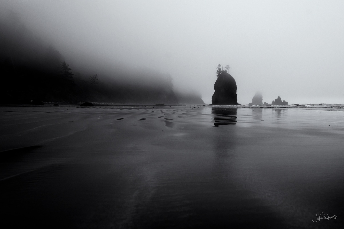 Heavy fog on the Olympic National Park coast in Washington, reducing the sea stacks to shapes and the whole scene to a few tones