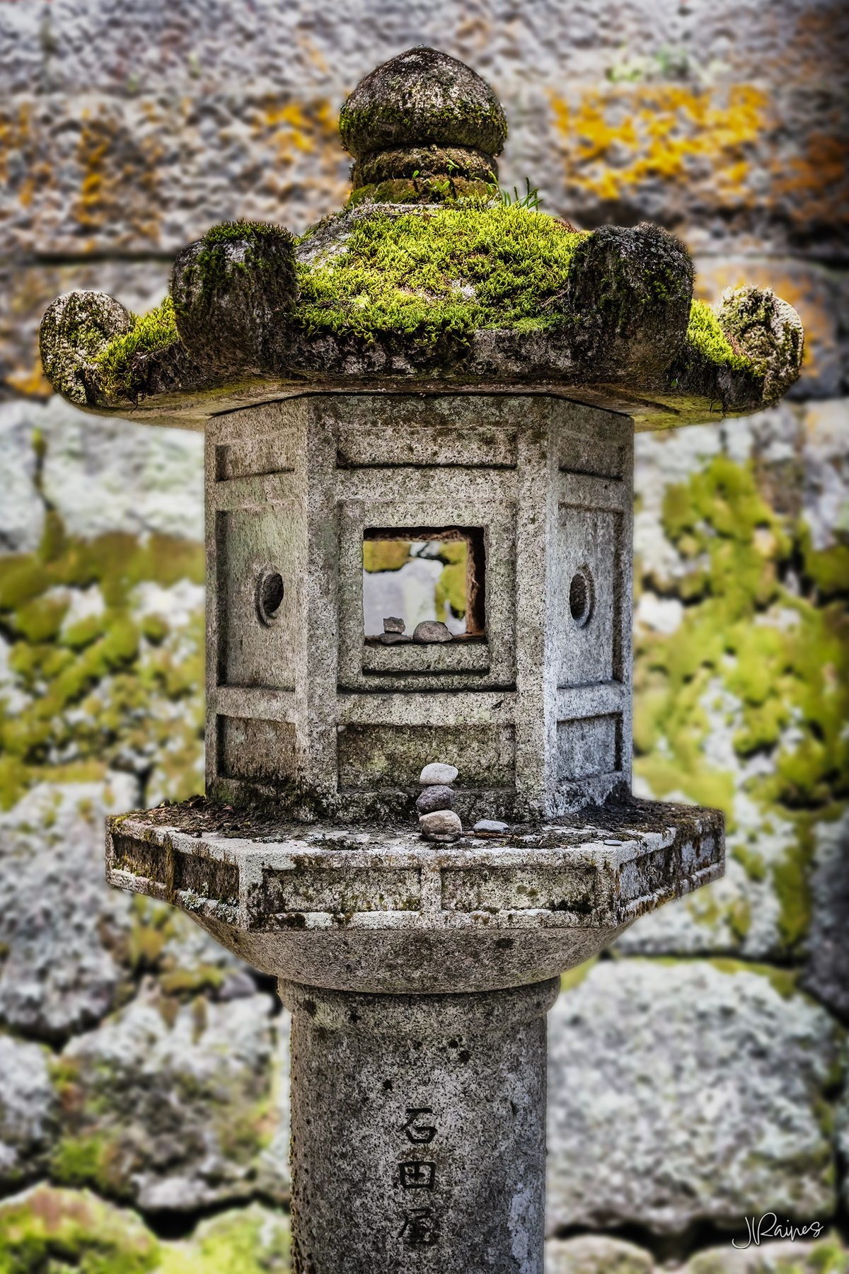 Stone lanterns lining an approach in Japan, mossed over from years in the shade