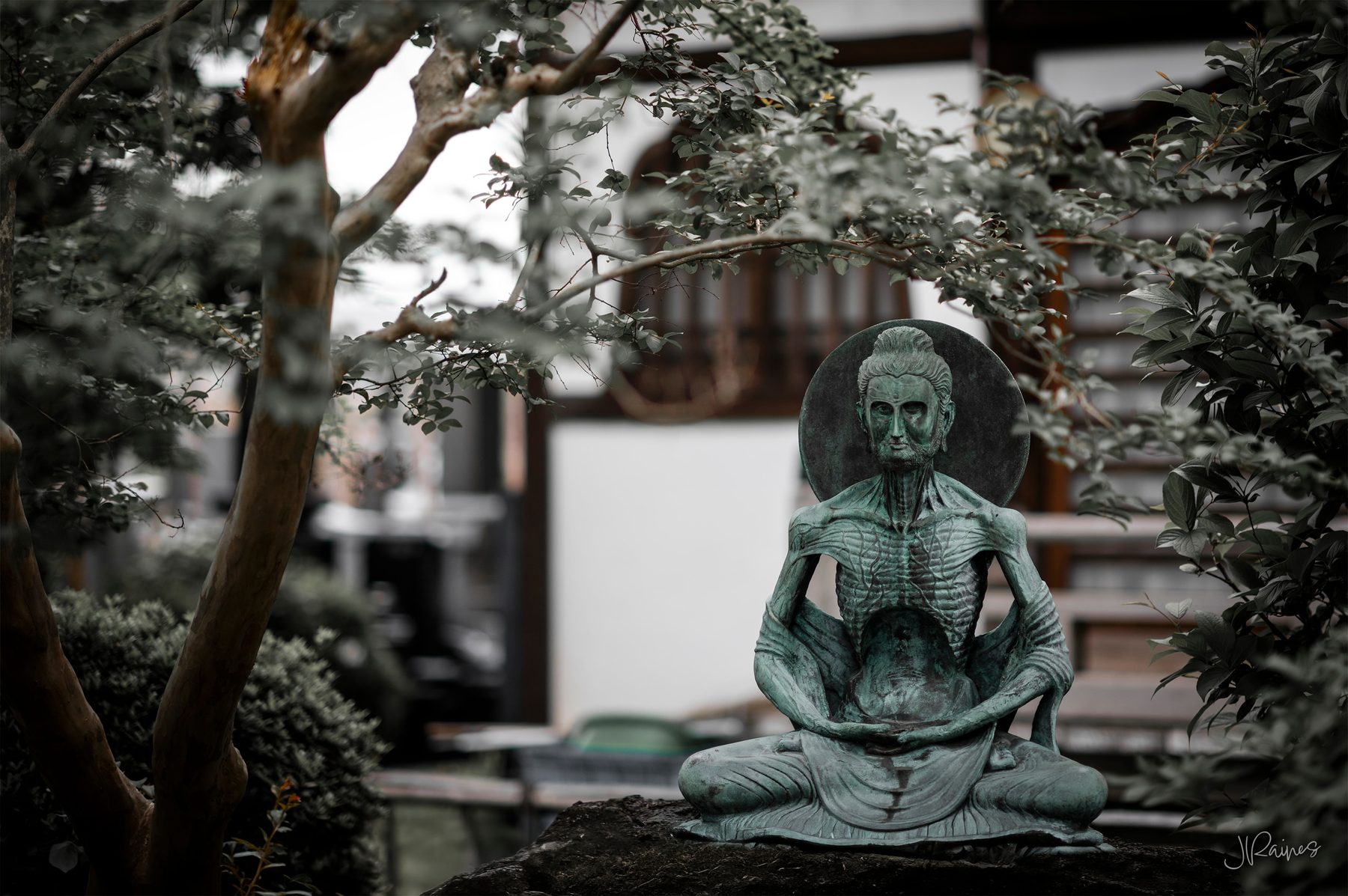 A seated Buddha in Japan, framed by the trees around the grounds
