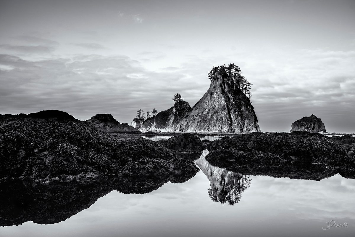 A sea stack standing off the Olympic coast in Washington, reflected in the flat water left behind by the tide