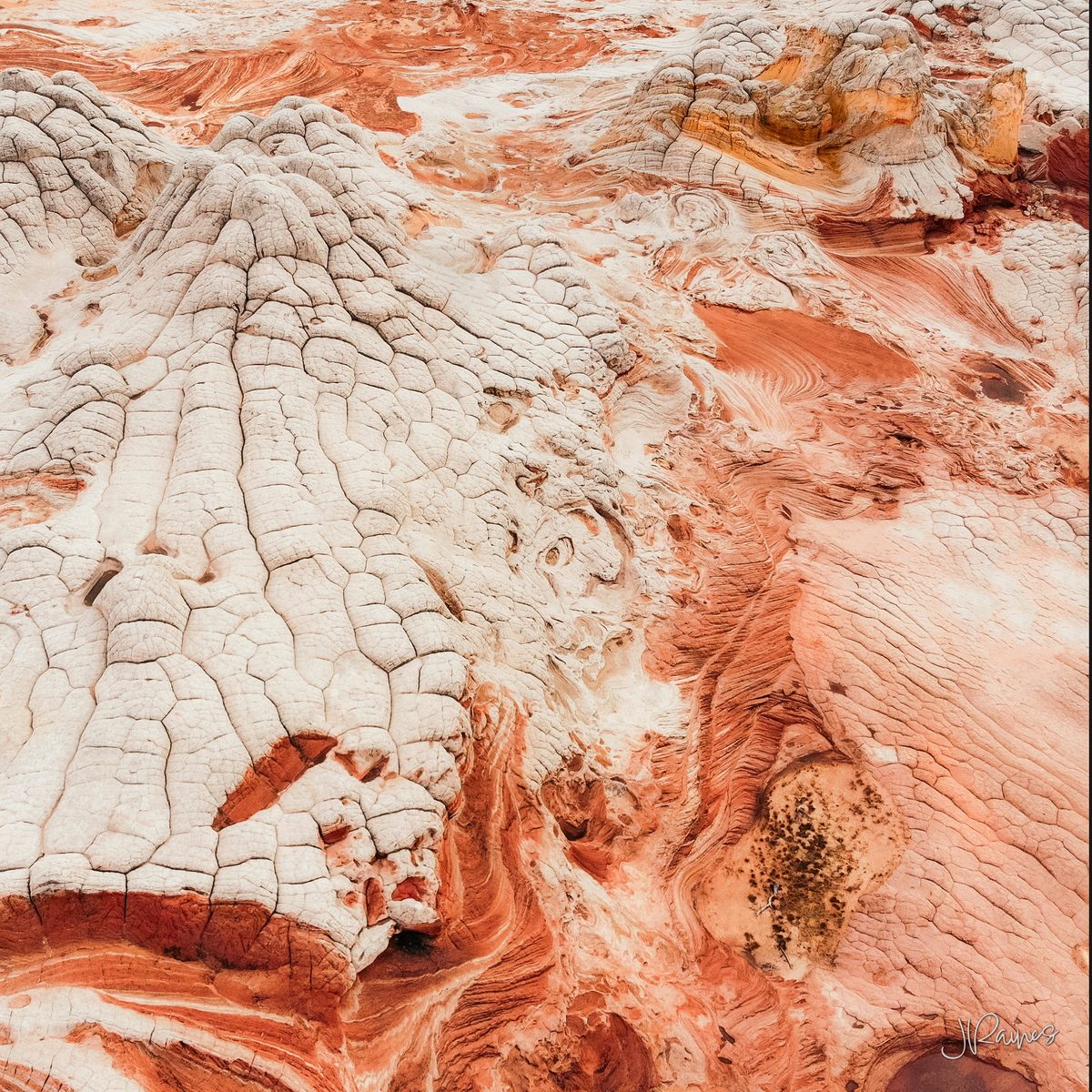 The cracked white sandstone at Vermilion Cliffs, Arizona, that photographers call brain rock, for reasons that need no explanation