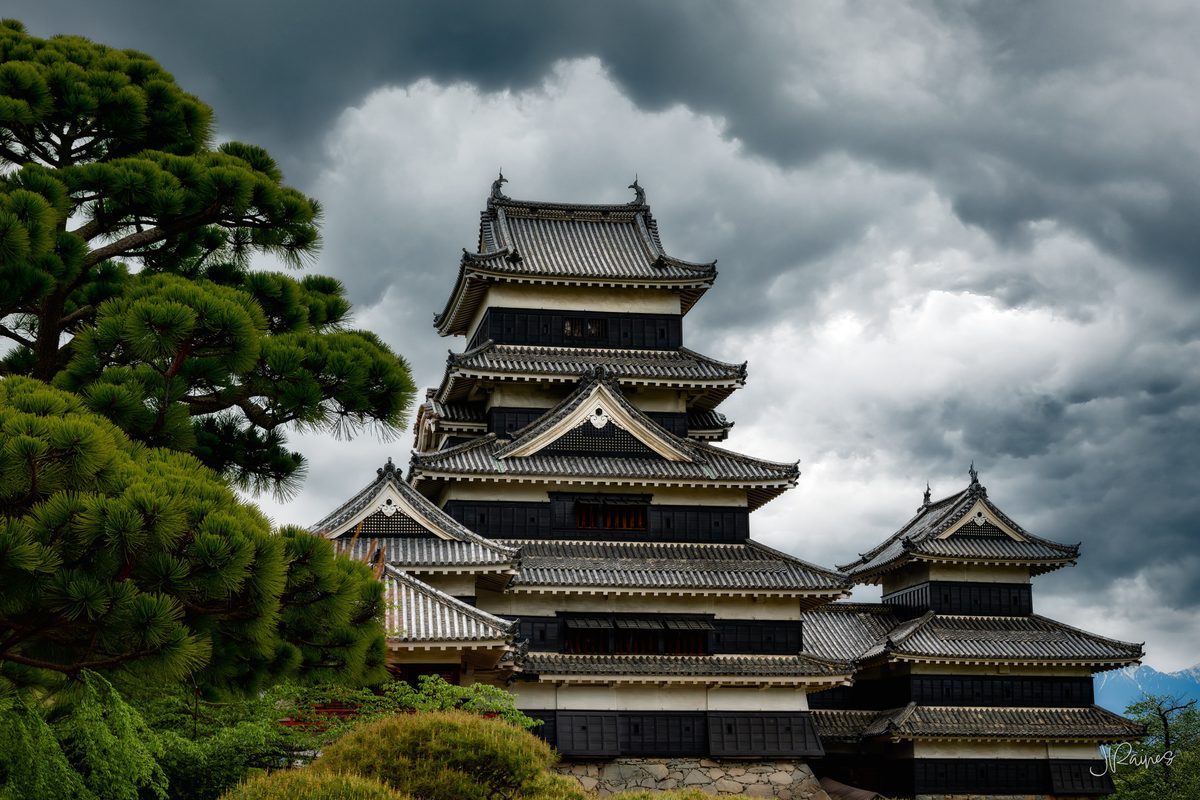 Matsumoto Castle and Japanese black pine with storm clouds