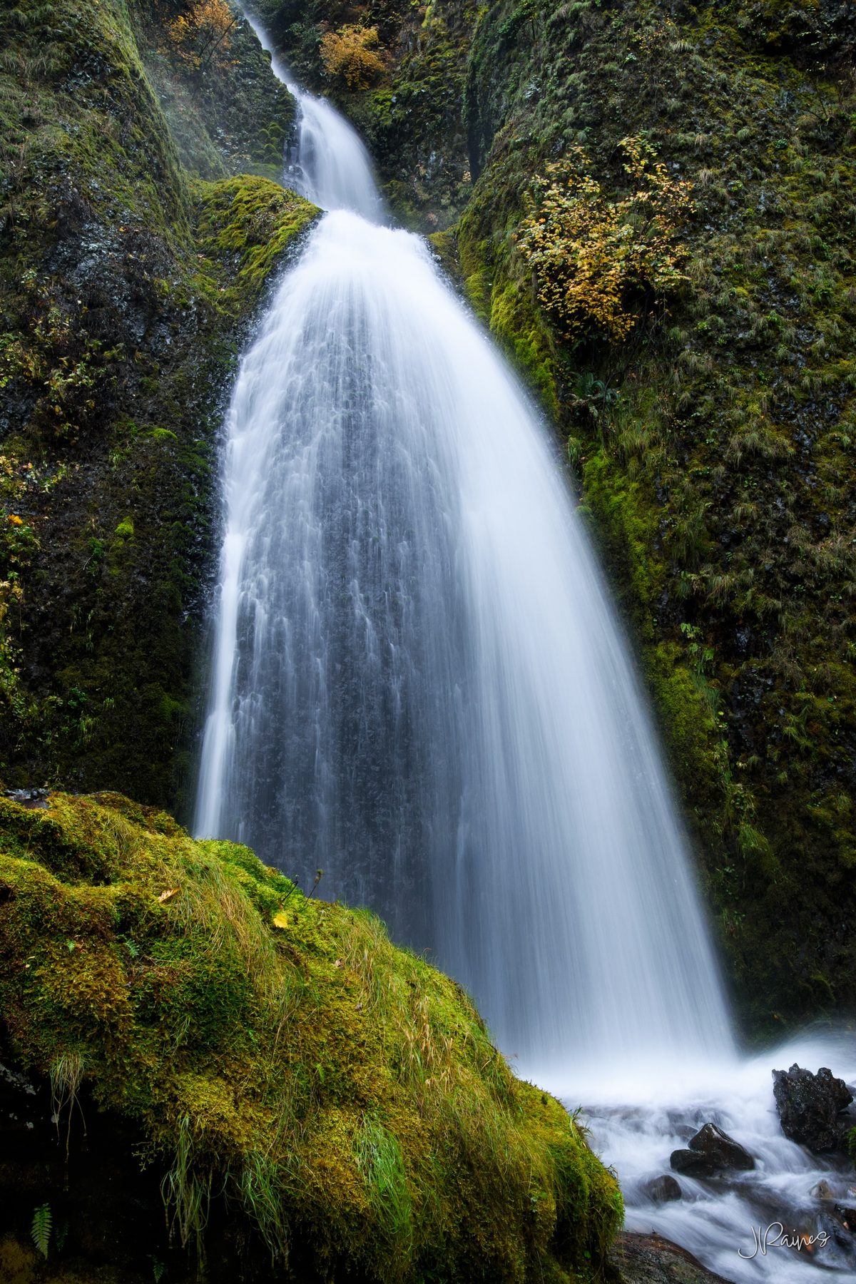 Wahkeena Falls fanning into a wide veil over moss-covered basalt, Columbia River Gorge, Oregon