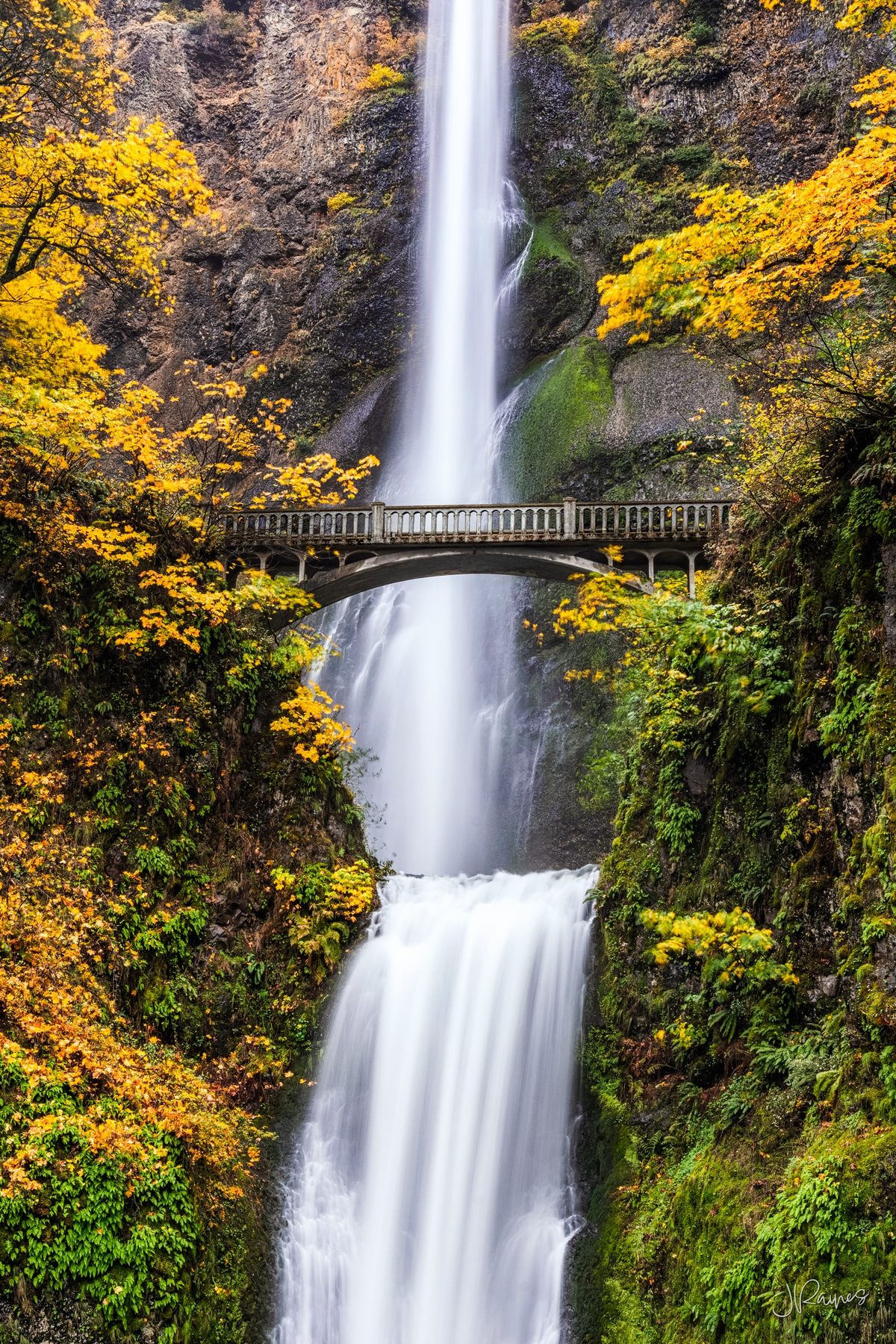Multnomah Falls with bridge and autumn foliage, Portland, Oregon