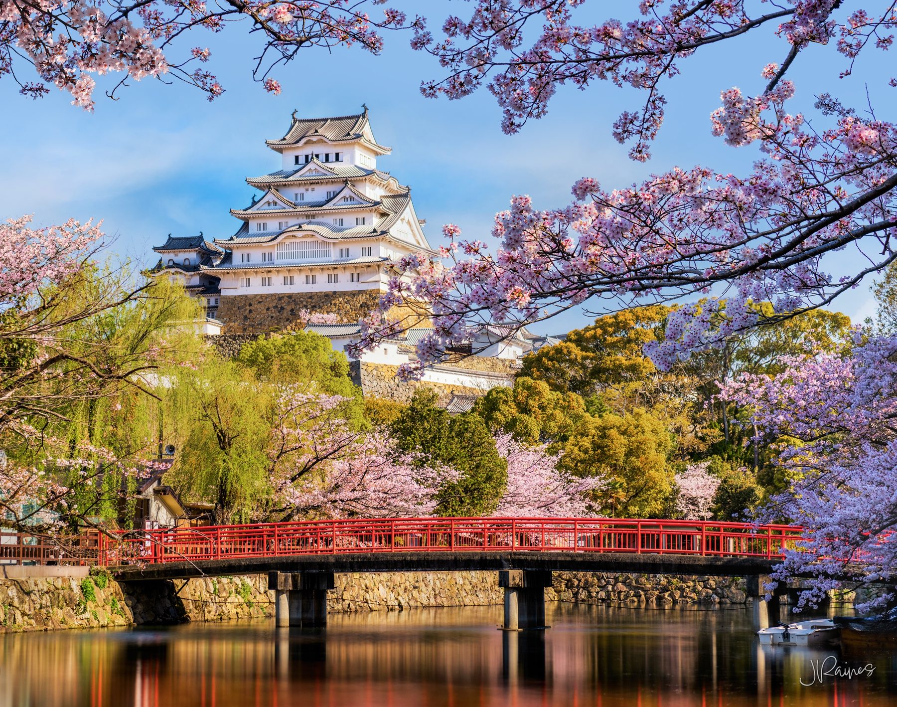 Himeji castle with bridge in spring