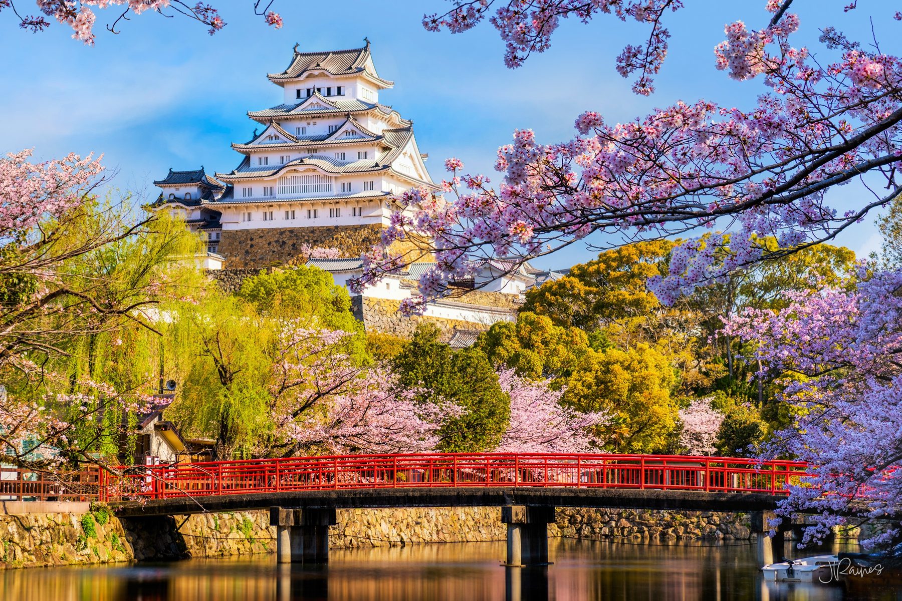 Himeji castle with bridge in spring