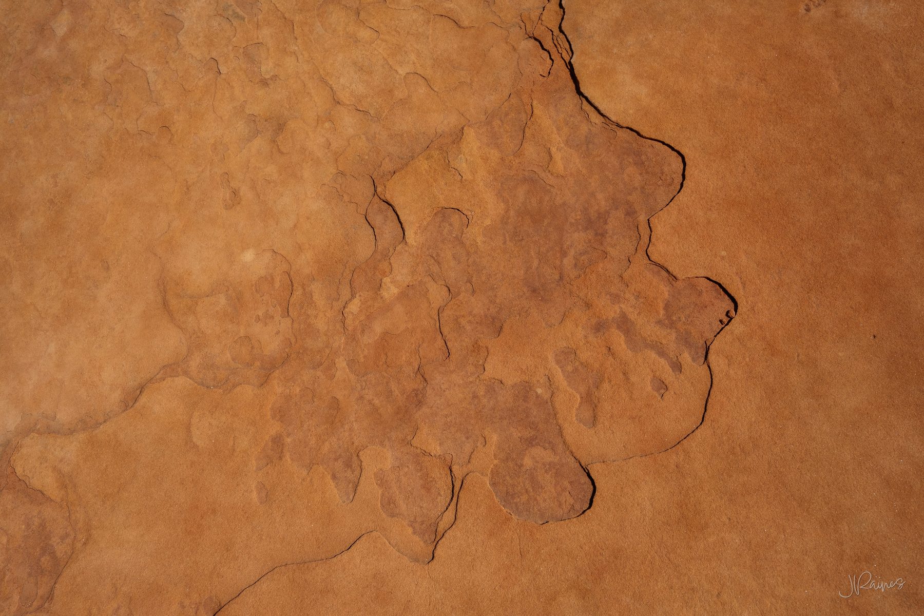Wind-smoothed sandstone with a dark fracture line tracing across it, Red Cliffs Desert Reserve, Utah