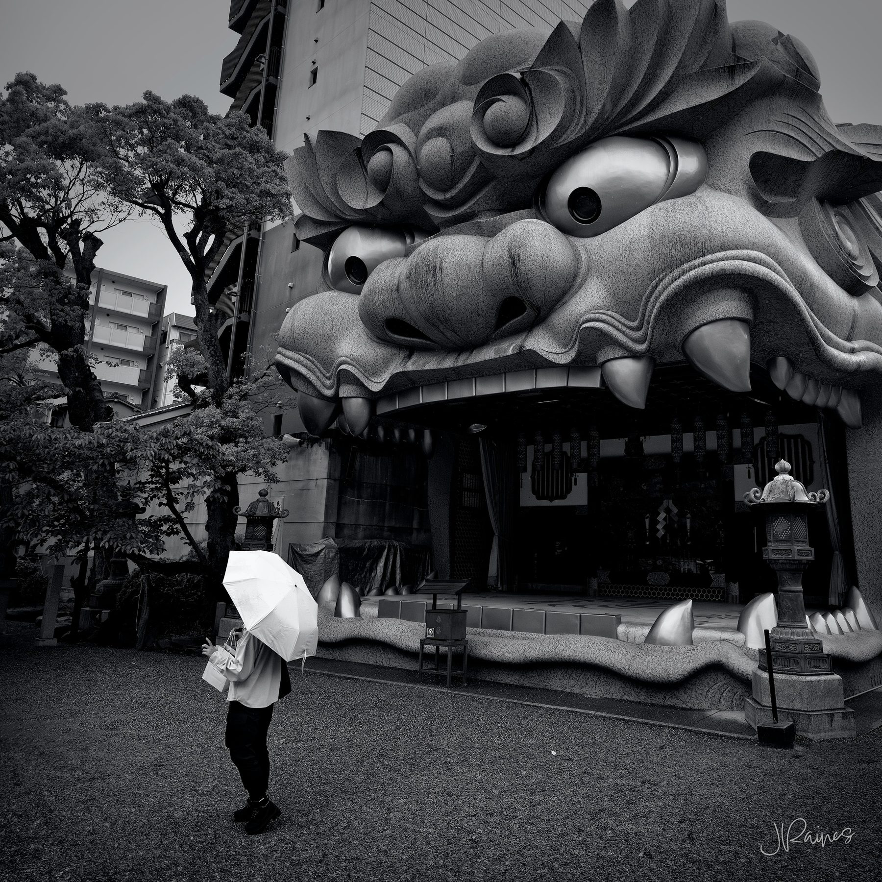 A deer working a quiet corner in Japan, in black and white