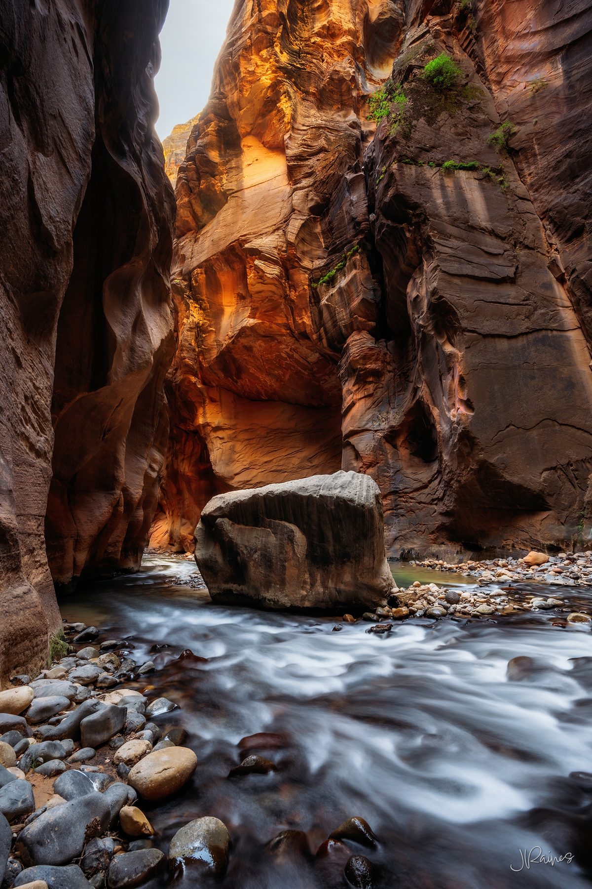 A sandstone island of rock standing above the surrounding terrain in Zion National Park, Utah