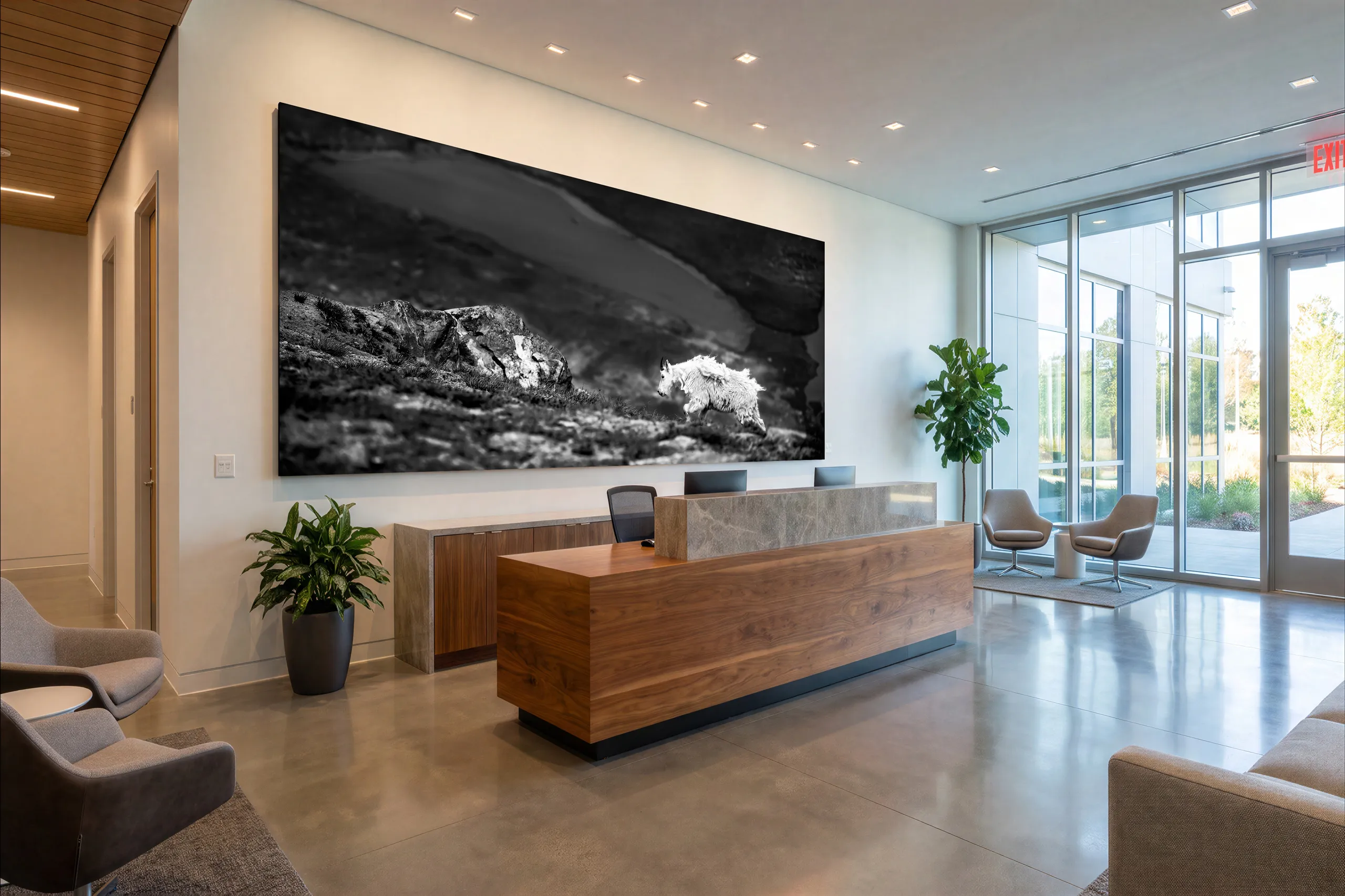The Long Walk, a black and white mountain goat panorama, visualized across the full wall of an office lobby